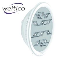 Ampoules LED Blanc WELTICO Diamond PAR56