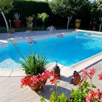 Coque piscine PRASLIN 8,10m x 4m x 1,50m fond plat
