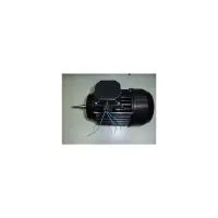 Moteur 1.50 CV Tri pour PPE Victoria (Plus). Sprint (Astralpool)