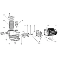 Pièces détachées pour Pompe AQUAMITE