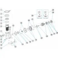 Pièces détachées pour Pompe ASTRAL VICTORIA DUALSPEED