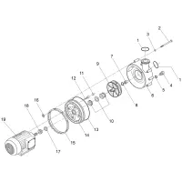 Pièces détachées pour Pompe BADU 21-60