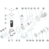 Pièces détachées pour Pompe BIG DENVER TRI 3 - 4 - 5,5 CV