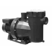 Pompe Victoria Plus Silent 0,75 CV pour piscine 44 à 55 m³