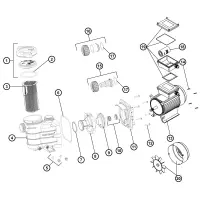 Pièces détachées pour Pompe POWER FLO II, POWERLINE