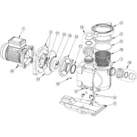 Pièces détachées pour Pompe SUPERFLO