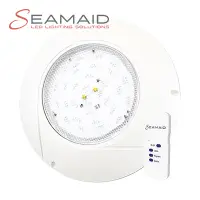 Projecteur plat LED Seamaid couleur 