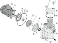Pièces détachées pour Pompe 5BR
