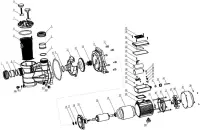 Pièces détachées pour Pompe MNB. BERING MD