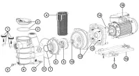 Pièces détachées pour Pompe POWERLINE New