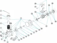Pièces détachées pour Pompe SENA