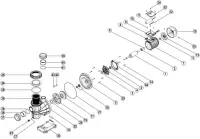 Pièces détachées pour Pompe SILVER