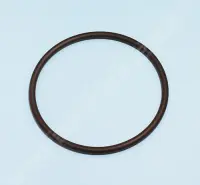 Joint torique de couvercle de préfiltre de pompe Max-Flo XL