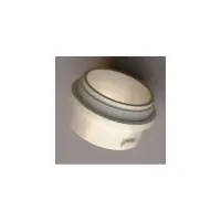 Adaptateur 2'' NPT - diam. 60 x h 12 filets fins (Pleatco)