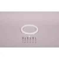 Anneau de fixation + visserie pour PROJ orientable - BLANC (Astralpool)