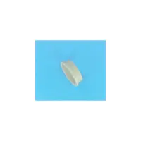 Bague de Turbine PPE (Super II/Spa) -  (HAYWARD)