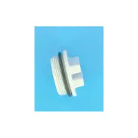 Bouchon de Vidange 1"1/2 FILTRE DE DE Pro Grid avec Joint - filetage L. 18 x D. 46 mm (HAYWARD)