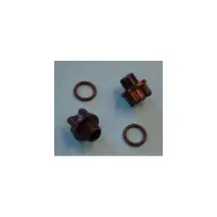 Bouchon Vidange av joint torique PPE 1/4" (sachet de 2) - (ASTRAL)