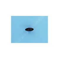 Bouton en caoutchouc (Pentair)
