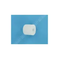 Brosse de queue (Pentair)