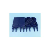 Brosses CN Bleue (x2)