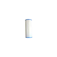 Cartouche Hayward C-120. MicroStar-Clear (in-line) (PLEATCO)
