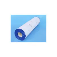 Cartouche Hayward Star-Clear C750. ouvert avec joint moulé - Remplace PA75-4 (Pleatco)