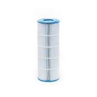 Cartouche Hayward Star-Clear II C1100. C-8610 (Unicel)