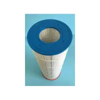 Cartouche pour Filtre PTM100 - WC108-58S2X (STA-RITE)