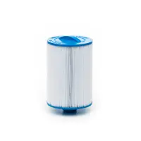 Cartouche Waterway Front Access Skimmer  6CH-940 / Iberspa/Astral Pandora/Niagara (Unicel)