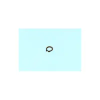 Circlips