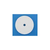 Couvercle de Skimmer - (PENTAIR)