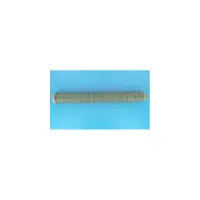 Crépine FILTRE SAB 2005 SF 420 - Ø3/4'' (POOL'S)