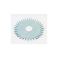 Disque Pacer (ZODIAC)