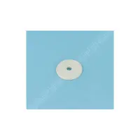 Disque régulation BR 2" NM (POOL'S)