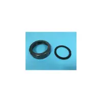 Ecrou D. 92 electrode sel + joint Astral Sel REMPLACE 100233 (ASTRAL)
