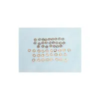Ecrous + rondelles de bride de couvercle SMG