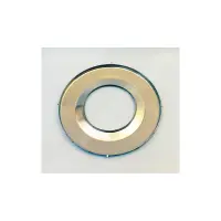 Enjoliveur Projecteur Pool's Inox (POOL'S) 1223014