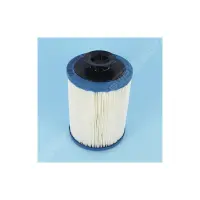 Filtre cartouche Playa 100µ