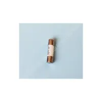 Fusible Bm800 20x38mm 2A. 60a