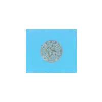 Grille BR 00311/12/13 - 2'' - Inox (ASTRAL)