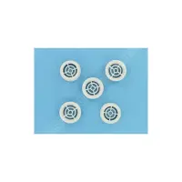 Grilles d'aspiration (x5) pour bouche série 00300 - Remplace 00294R0004VV99 (Astral)