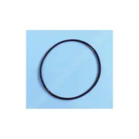 Joint couv FILTRE SAB et joint de corps PPE MAX FLO 2 (HAYWARD)