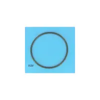 JOINT COUVERCLE VITON (Chlor  HAYWARD)