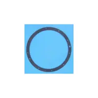 Joint de bride PROJ - Remplace 1223020 (POOL'S)