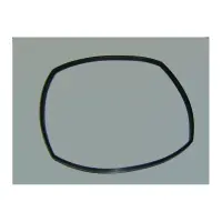 Joint de corps de pompe 228X5 PPE Astral Glass Plus (ASTRAL)