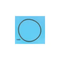 Joint de Corps PPE (Dyna-Glass/Jet) (STA-RITE)