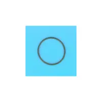 Joint de Coude Supérieur O-RING  (filtre DE (S7D75. S8D110) -  (STA-RITE)