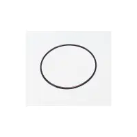 Joint de couvercle 147x4 Triton AM / vanne E-27-2027 / adaptateur R155225 - (PENTAIR)