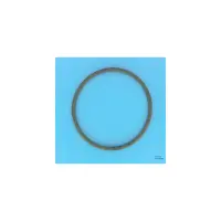 Joint de couvercle Ø150 mm pour FILTRE SAB Jupiter. Galatic et Titan 6'' - 101D010 (SNTE)